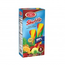 Klein's Shuffle Fruit Ice 5-pk 355ml