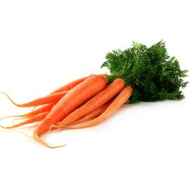 Fresh Carrots Bunch