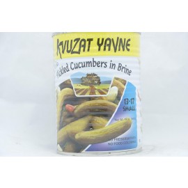 Kvuzat Yavne Pickled Cucumbers in Brine 13-17 Small 540g