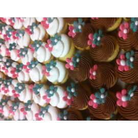 Mini Cupcakes 11